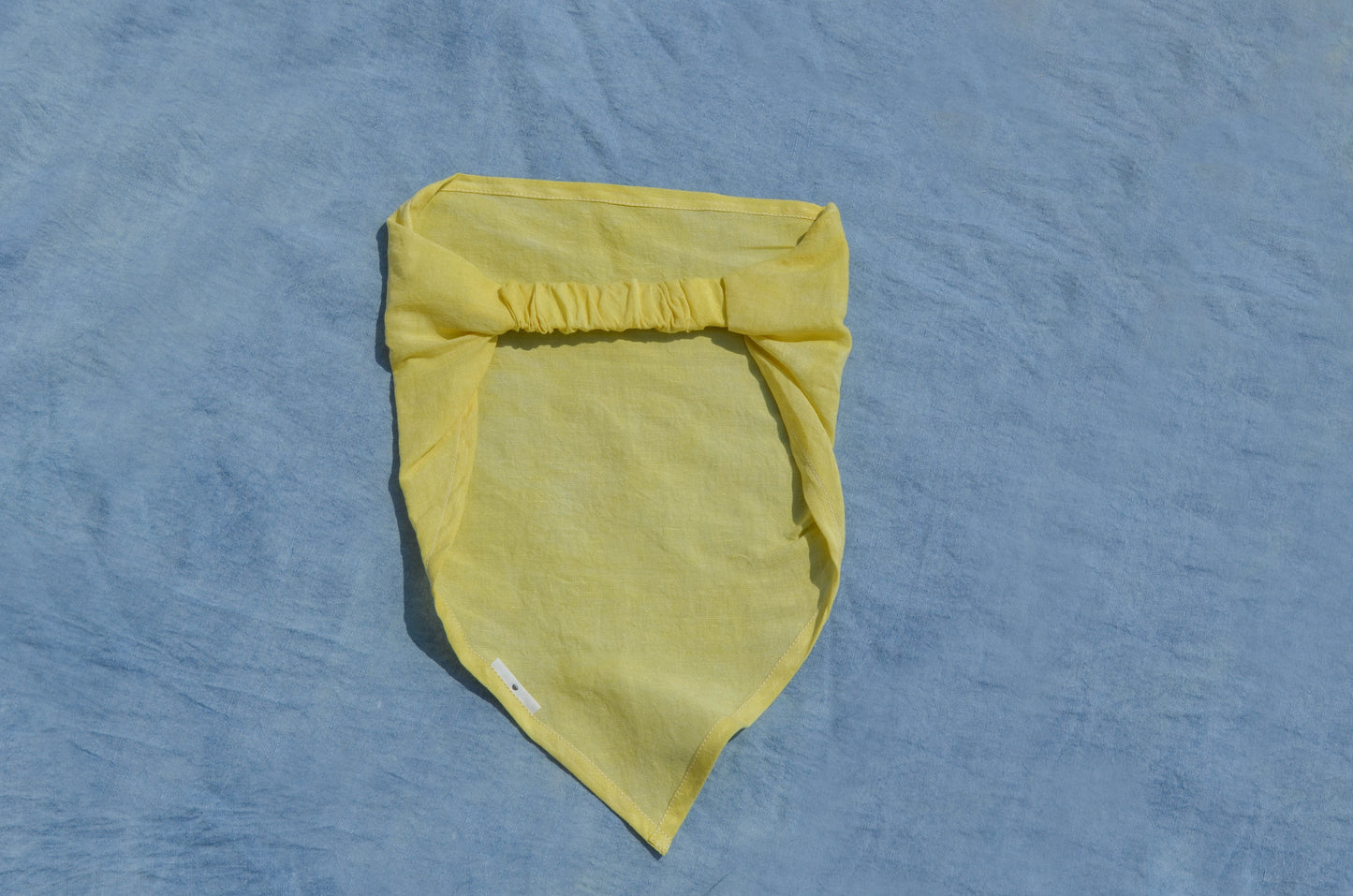 Charteuse Beauty Bandana