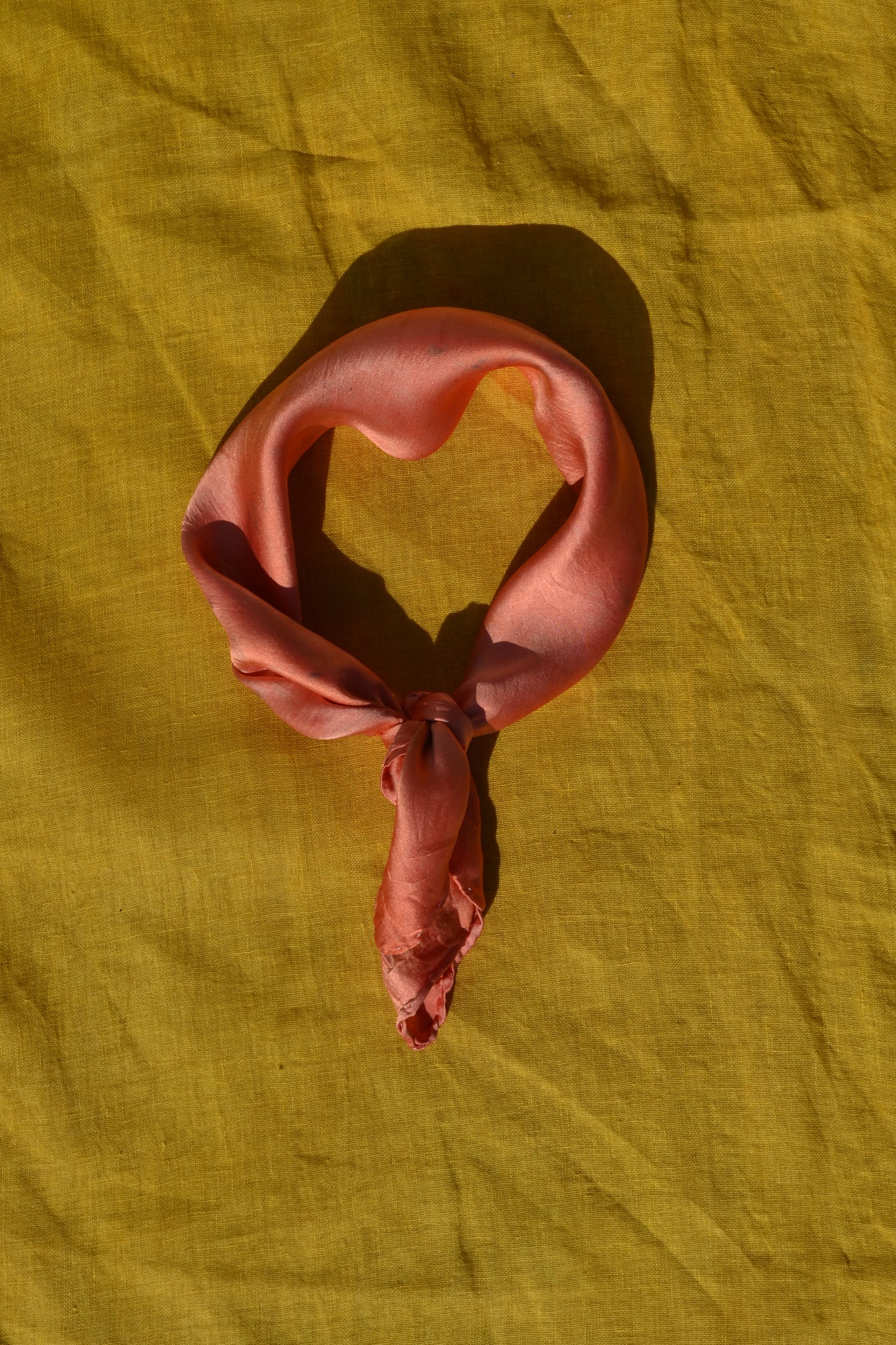 Joyful Vine Orange Lover – Pure Silk Scarf